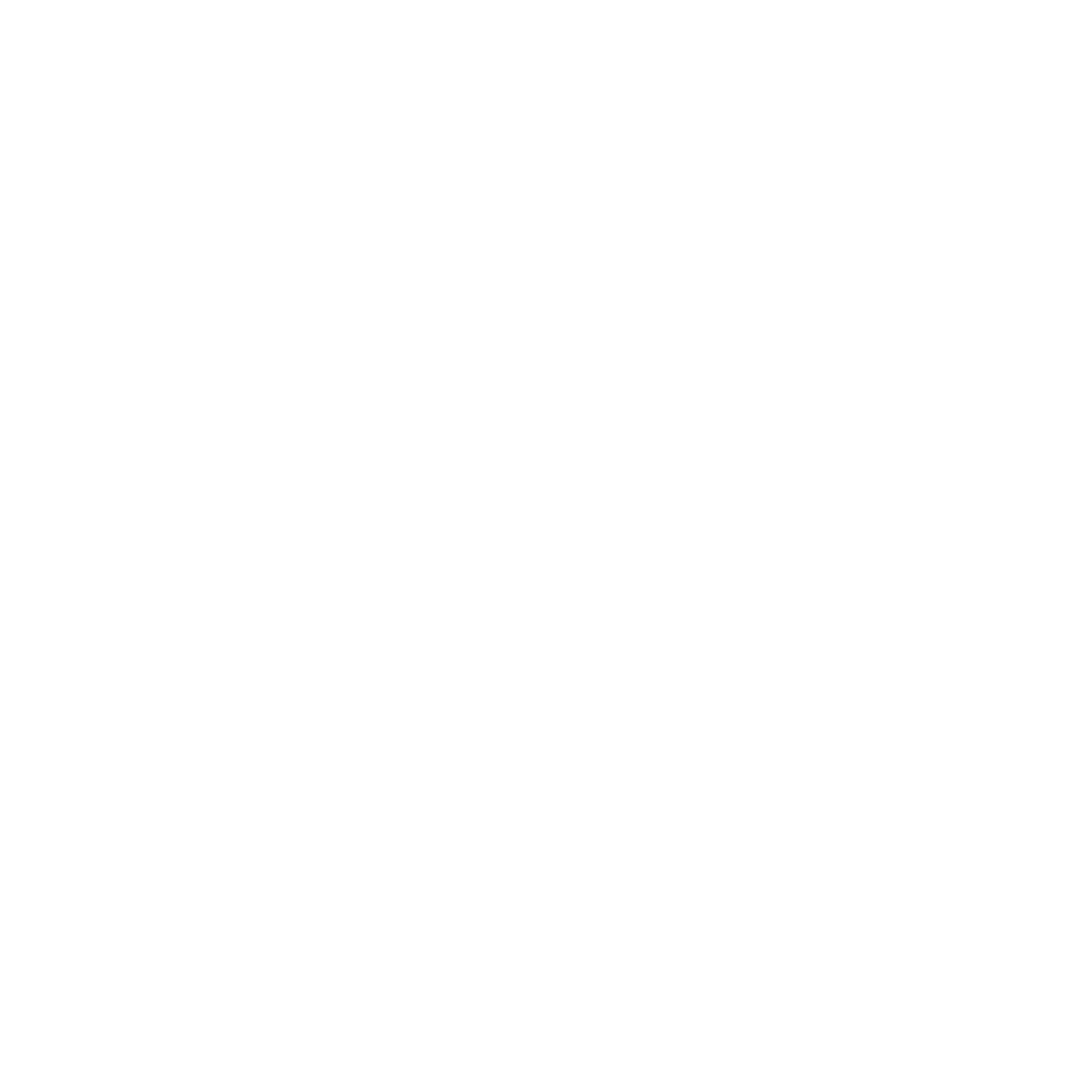 feature-item-4